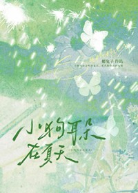 小狗耳朵在夏天